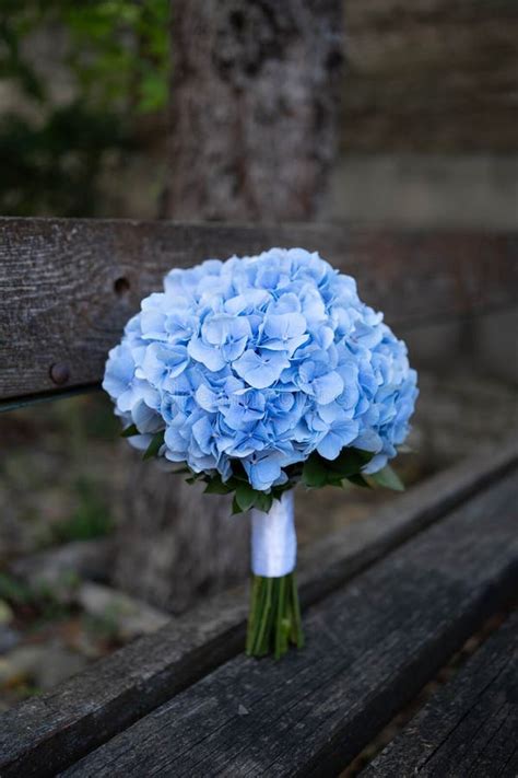 Blue Hydrangea Wedding Bouquet Bridal Bouquet Wedding Stock Photo