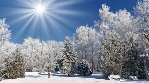 Sunny Winter Day Wallpaper Wallpapersafari