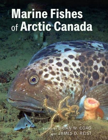 Which Fish Live In Arctic Canada Thanks To New Book We