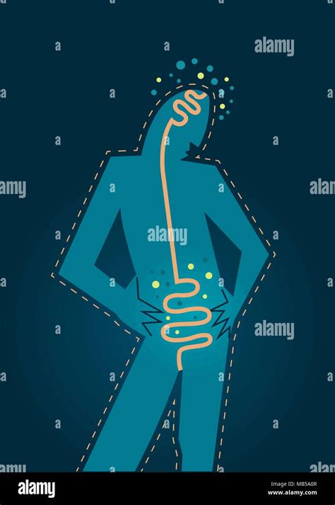 Human Silhouette Illustration Digestive System And Intestinal Flora