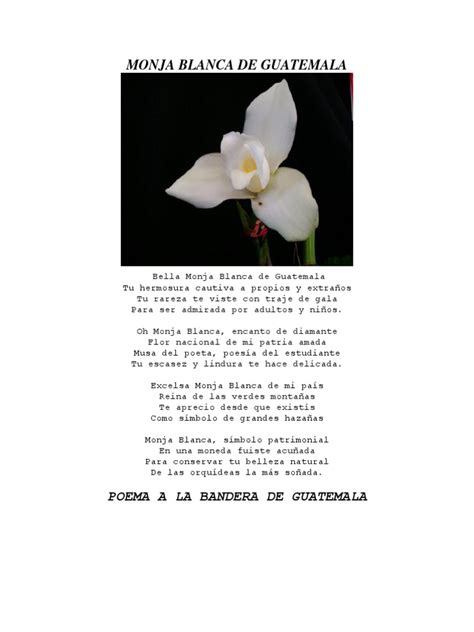 Poemas De Los Símbolos Patrios De Guatemala Guatemala Porn Sex Picture
