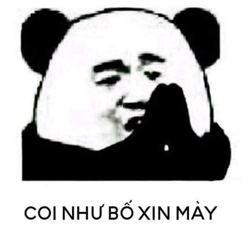 tổng hợp meme gấu trúc weibo hài hước độc bá đạo