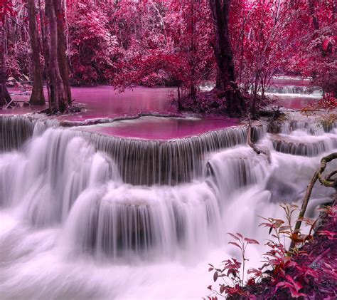 A Waterfall In A Forest Of Pink Flower Trees Wallpaper Fondo De