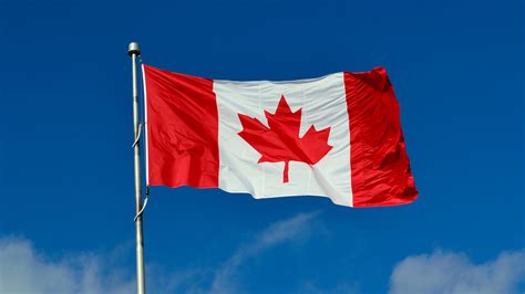 Canada's Immigration Site Crashes, Google Notes Uptick In ...