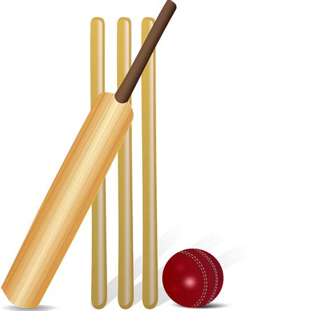 Download Cricket Cricket Bat Bat Royalty Free Vector Graphic Pixabay