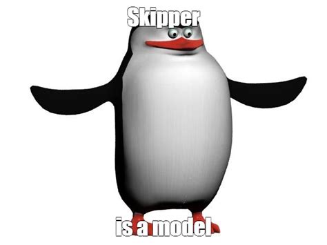 Create Meme Penguins Of Madagascar Skipper Skipper The Penguin