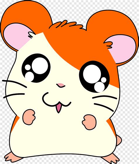 Free Download Hamtaro Brown And White Rodent Illustration Png Pngegg