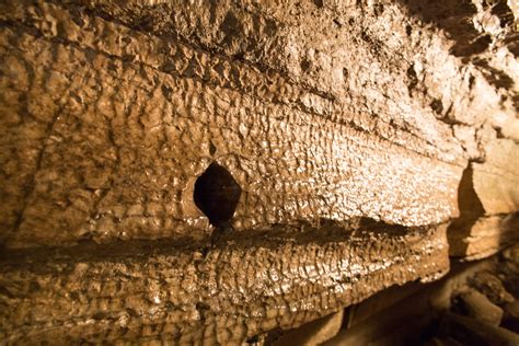 Bonnechere Caves Jeffrey Lei Flickr