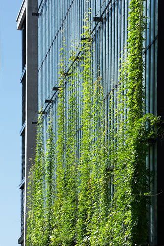 Tensile Green Facade Green Architecture Facade Design