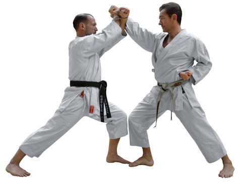 Best Of Karate Kumite Technique Conditioning For Karate Kumite And Kata