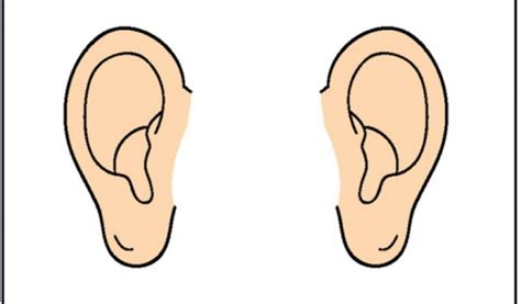 Ears Clipart Pair And Other Clipart Images On Cliparts Pub
