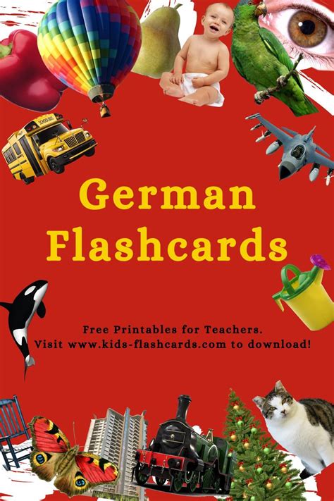 Learn German Flashcards Free Of Birds Kleos Canariasgestalt
