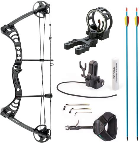 Top 10 Best Compound Bows Under 200 Brand Review
