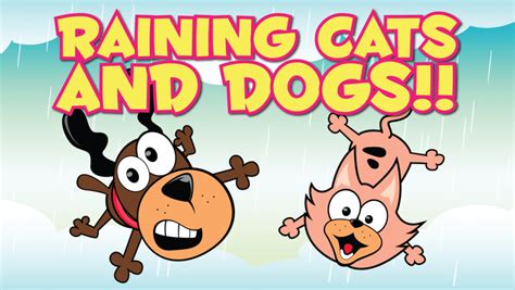 Maybe you would like to learn more about one of these? It's Raining Cats and Dogs WPB 2/25 - Salty Dog Paddle