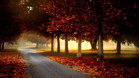 Country Road In Autumn Wallpaper Autumn Wallpaper Hd Autumn