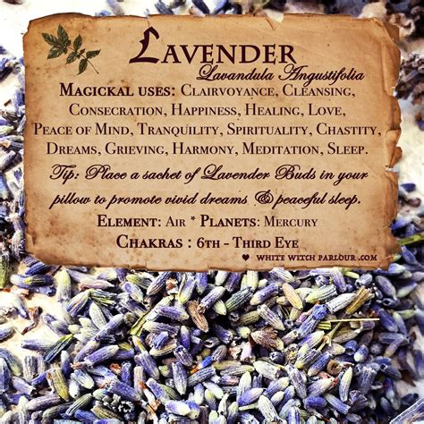 Lavender Magic Herbs Witch Herbs Magickal Herbs