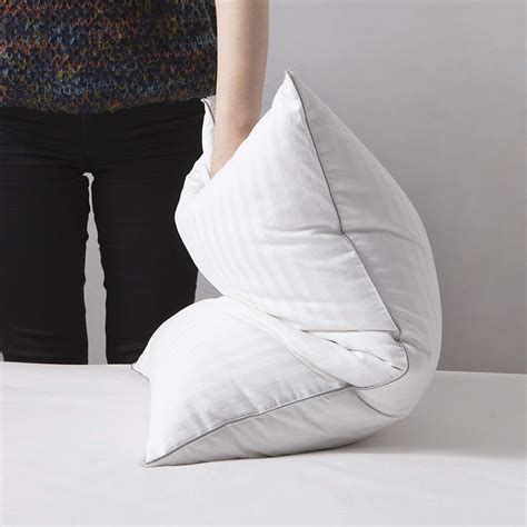 Top 10 Best Down Pillows For Sleeping In 2021 Reviews Buythe10
