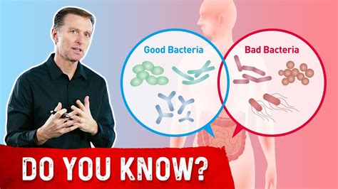 What Makes Good Bacteria Turn Bad Youtube