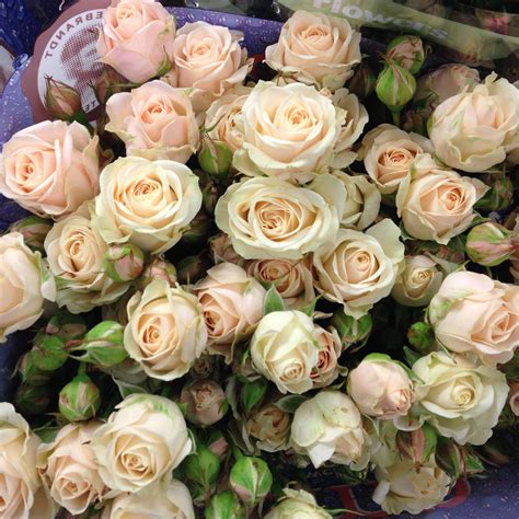 Check out our best selling bulk wholesale flowers and foliage. Pin on DIY {Peach/Nude Flowers} Wedding flowers