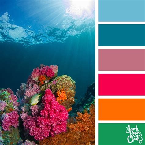 Beautiful Coral Colors 25 Color Palettes Inspired By Ocean Life