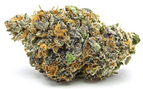 Mimosa Strain Cannabis Review And Information Flavor Fix