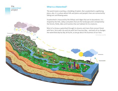 Back To School Resources For Protecting Your Watershed The Watershed