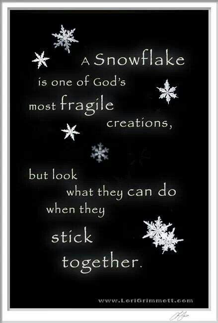 9 Snowflake Sayings Ideas Snowflakes Snowflake Poem Christmas Poems