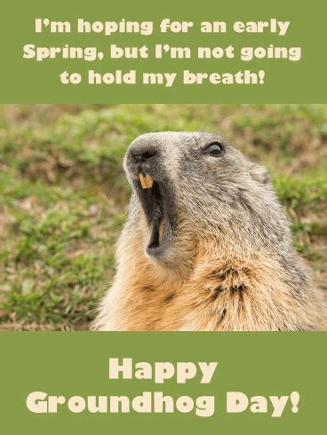 It's groundhog day in more than just pennsylvania. Funny Pictures Of Groundhogs Day