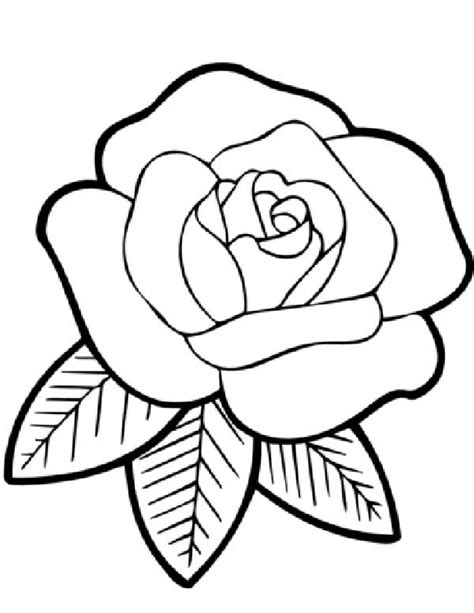 Desenhos De Rosas Para Imprimir E Colorir Pintar