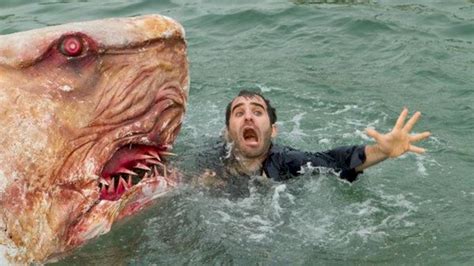 All shark bites, even minor ones, require immediate medical attention. Watch Shark Attack online | Watch Shark Attack full movie ...