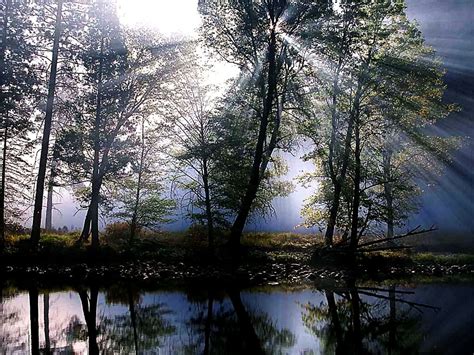 Natur, Wald, Betrachtung Hintergrundbild 🔥 Kostenlose TOP Hintergrundbilder