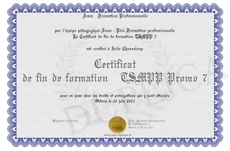 Certificat De Fin De Formation Tsmpp Promo 7