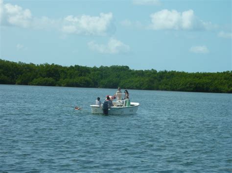 Marine Biology 2016 Arrival In The Florida Keys Goshen