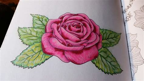 Rose Colored With Prismacolor Pencils And Colorit Gel Pens Prismacolor