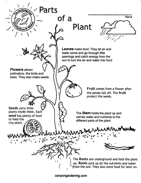 Lesson Plans Coloring Pages - Coloring Pages