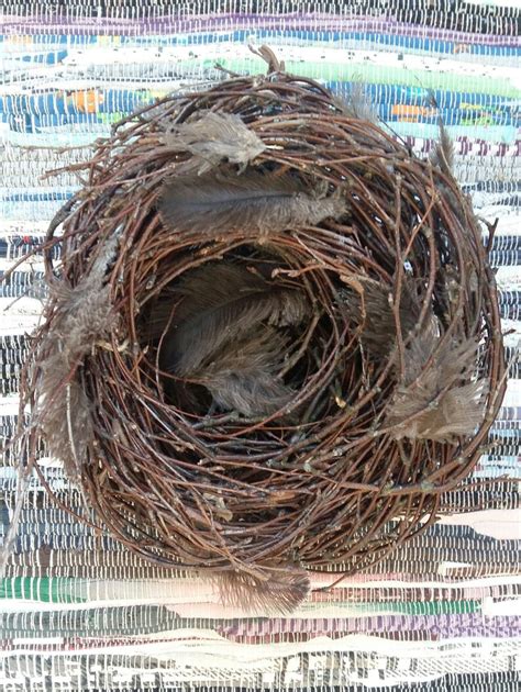 Easter Birds Nest Natural Decor Birch Branches Twigs Rustic Etsy