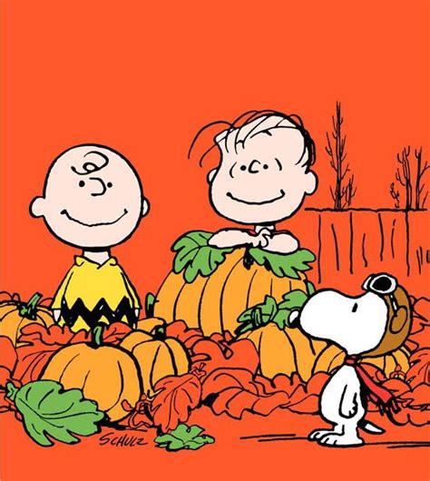 Its The Great Pumpkin Charlie Brown Charlie Brown Halloween Best