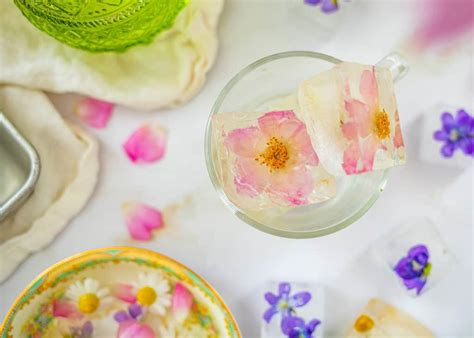 How To Make Edible Flower Ice Cubes Kami Mcbride