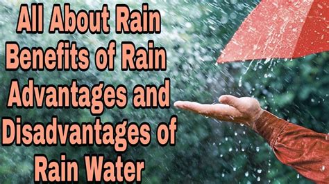 All About Rain Benefit Of Rain Water Advantages And Disadvantages