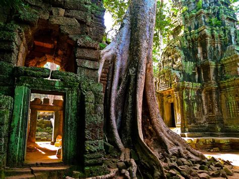 Ta Prohm Siem Reap Attractions Asianway Travel