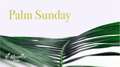 Saturday Vigil Mass Palm Sunday April 1 2023 Youtube