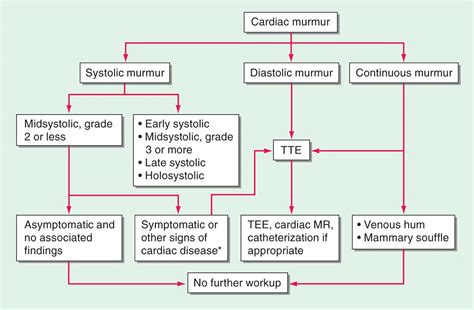 Approach To The Patient With A Heart Murmur Diagnosis Of