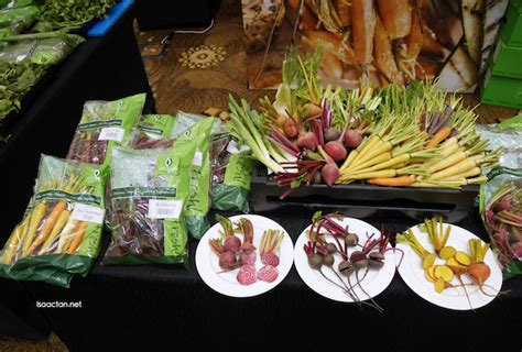 Time in new zealand top cities auckland, wellington, christchurch, manukau city, north shore. New Zealand Food Connection Malaysia 2016 ...