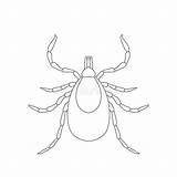 Tick Parasite Coloring Mite Sketch Background Illustration Vector sketch template