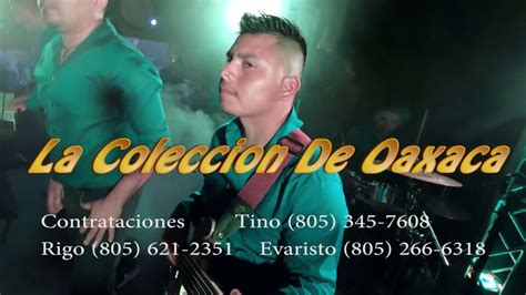 Ella no sabe que existo: La Coleccion De Oaxaca Perra Soledad\ San Sebastian Del ...