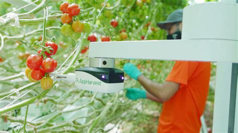 Appharvest Acquires Root Ai And Its Game Changing Robotic Harvester