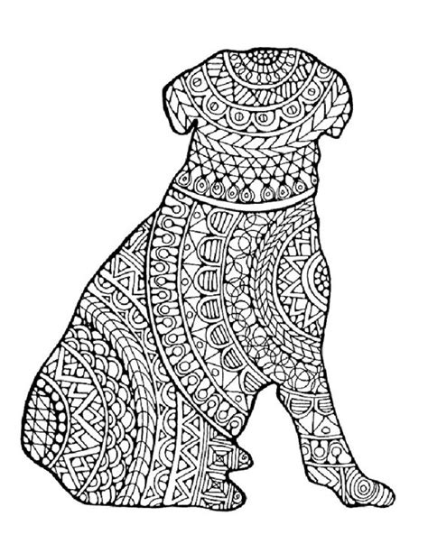 44 Animal Coloring Pages For Adults Pdf  Colorist