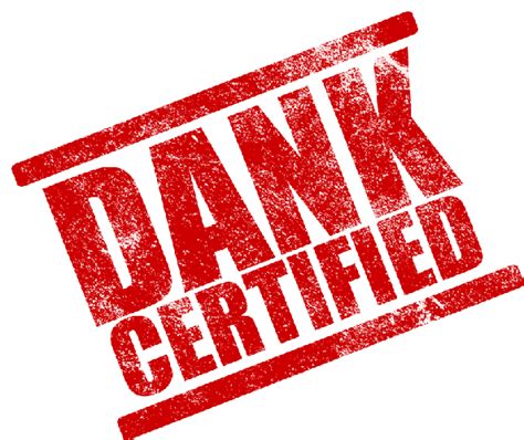 We did not find results for: Dank Memes All Day - All Things Dank