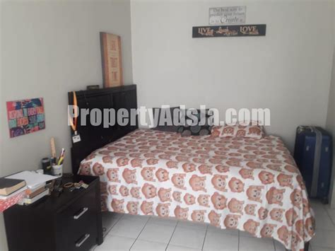 Apartment For Rent In Mona Kingston St Andrew Jamaica Propertyadsja Com