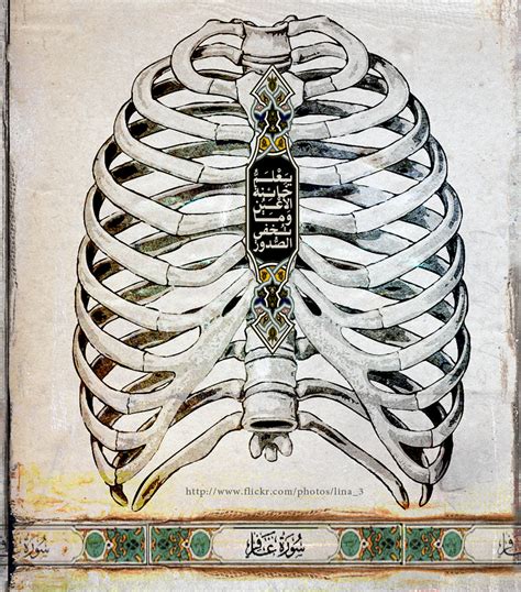 Islamic Art And Quotes Quran On Rib Cage